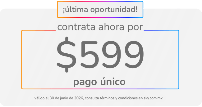 sky-vpm-precio-3a